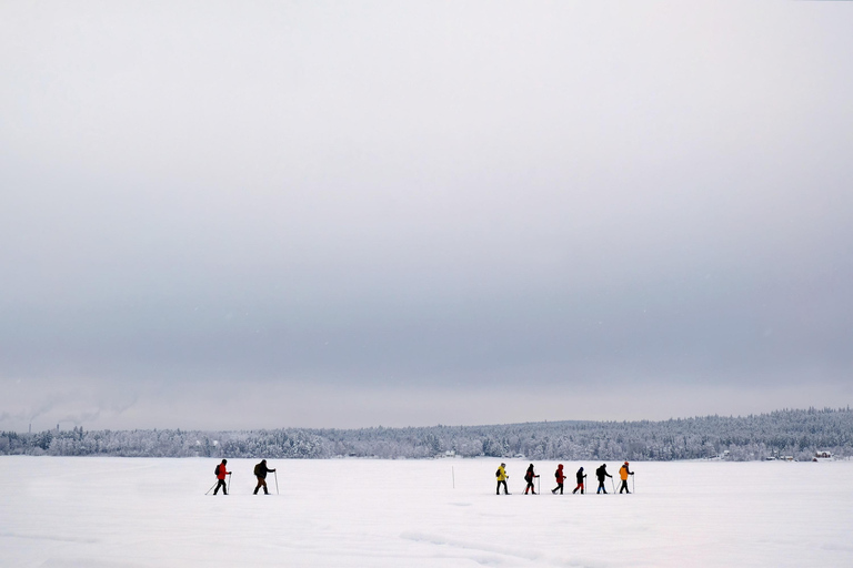 From Abisko: Sami Village Visit with Reindeer & Snowshoeing