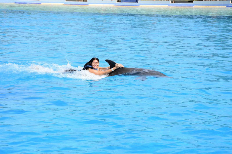 Playa del Carmen: Dolphin Programs Playa del Carmen: Dolphin Program