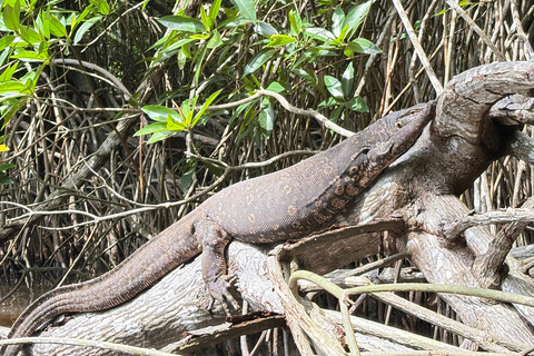 Bentota: River Boat Safari and Tuk-Tuk Ride with Pickup-Drop