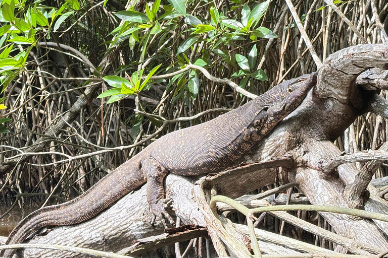 Bentota: River Boat Safari and Tuk-Tuk Ride with Pickup-Drop