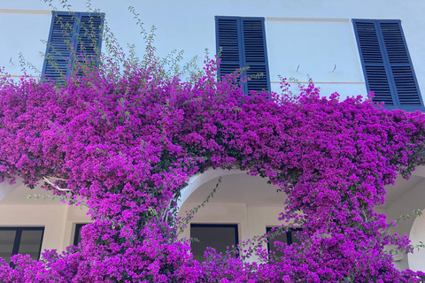 Barcelona: Private Trip, Girona, Medieval Town, Coast & Wine Private Day Trip