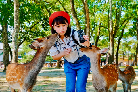 奈良公园：隐秘小径与鹿群导览之旅（含接送服务）