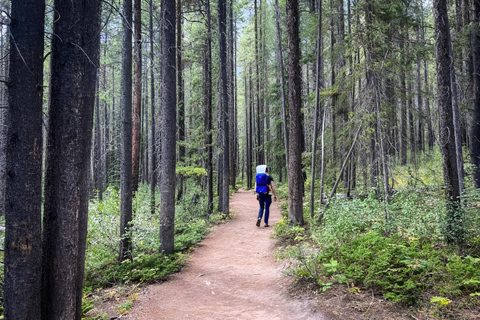From Banff: Grassi Lakes and Grotto Canyon, Small Group Tour