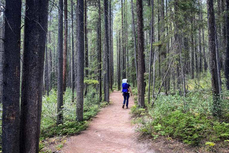 From Banff: Grassi Lakes and Grotto Canyon, Small Group Tour