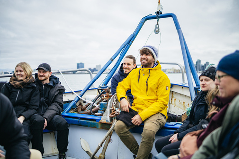 Reykjavik: Bootsfahrt mit Papageitaucher-Beobachtung