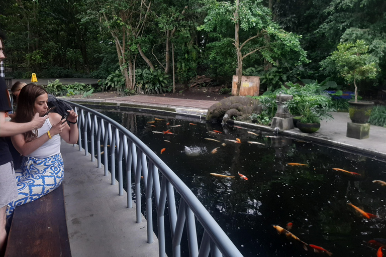 Ubud: Foresta di scimmie, terrazze di riso e cascateUbud: Foresta di scimmie, terrazza di riso e cascata