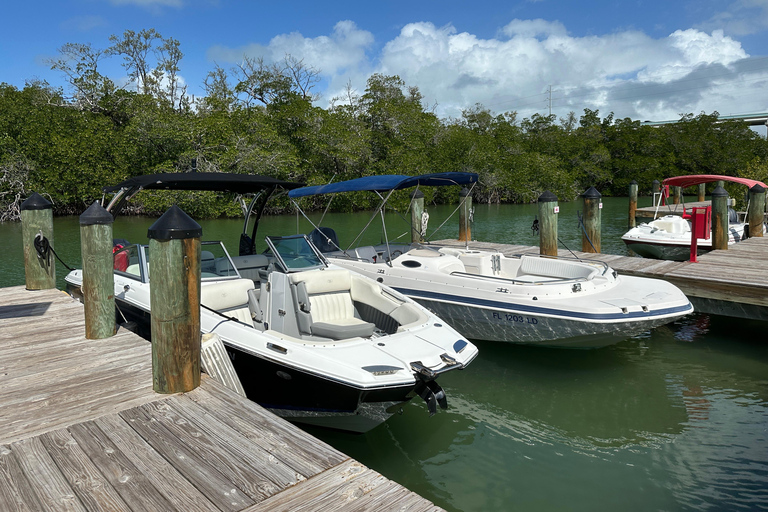 Key Largo: Florida Keys Sunset Cruise with Wildlife Spotting