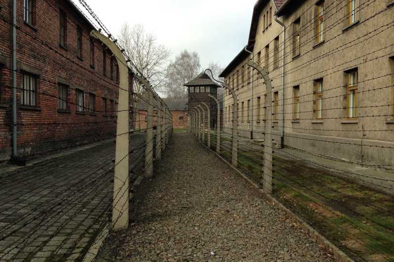 auschwitz tour from krakow small group