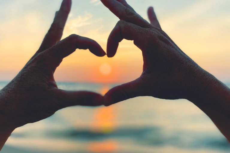 Boat excursions Boat trips