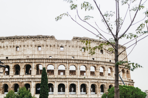 Rome: Full-Day Colosseum, Vatican Museums & St Peter's Tour Morning Vatican Museums and Afternoon Colosseum