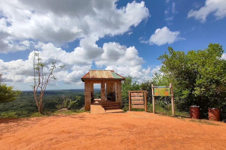 Diani: Guided day trip to Shimba Hills Reserve with lunch