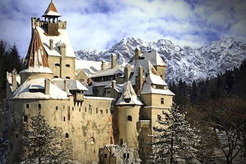 From Bucharest: Dracula Castle, Peles and Brașov Day Trip