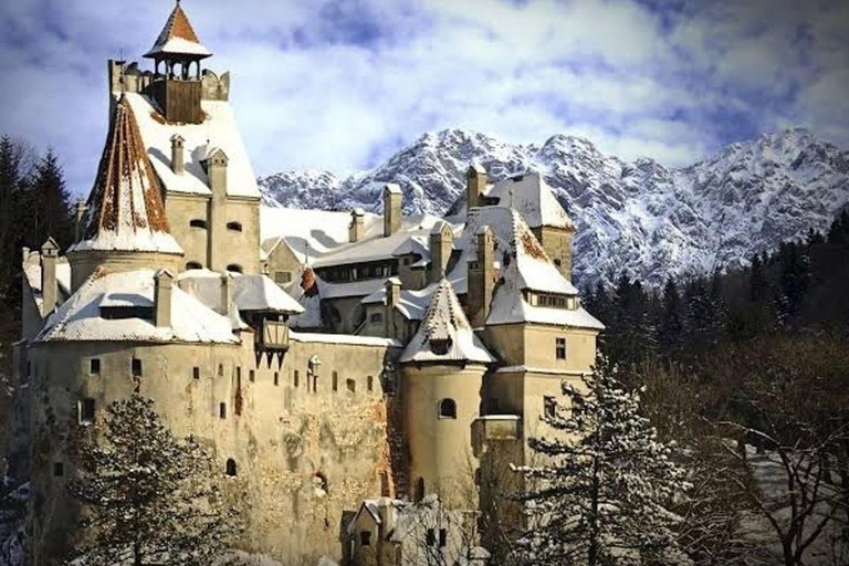 From Bucharest: Dracula Castle, Peles and Brașov Day Trip