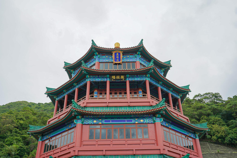 Hongkong: Big Buddha &amp; Lantau Island Tour met kabelbaanAlleen Big Buddha &amp; Po Lin-klooster