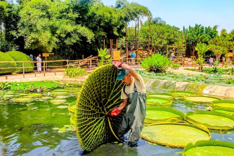 Agadir/Taghazout: Crocoparc Visit W- Entry Ticket & Transfer