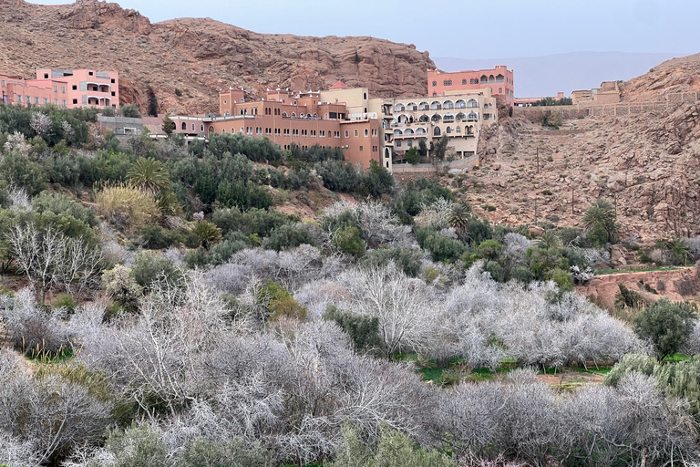 2 Days Trip From Marrakech To Ouarzazate & Dades Valley 2 Days Shared Tour : Marrakech To Ouarzazate & Dades Valley