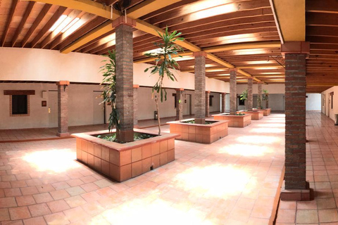 Visite &quot;Termas de San Joaquín&quot;, avec transfert et billetsMonterrey : Retraite de bien-être Termas de San Joaquín