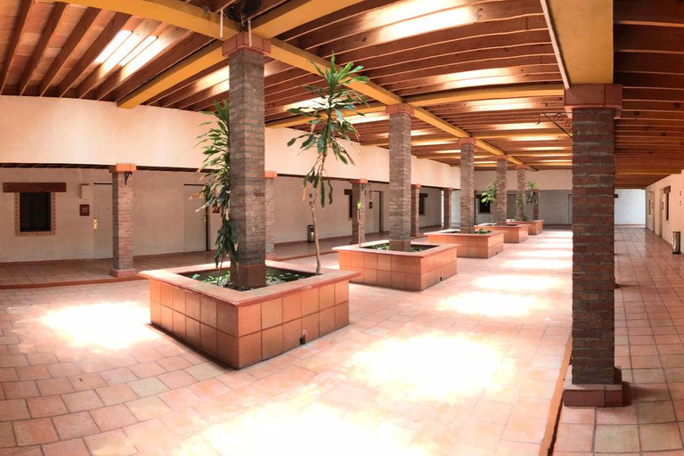 Visite &quot;Termas de San Joaquín&quot;, avec transfert et billetsMonterrey : Retraite de bien-être Termas de San Joaquín