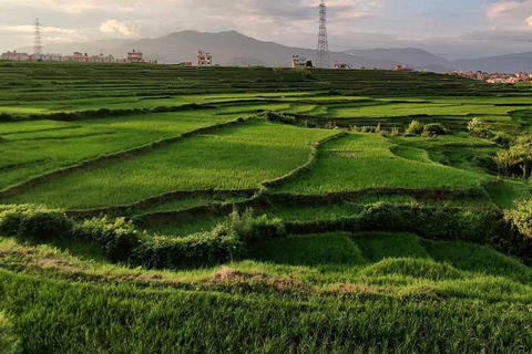 Un&#039;escursione di un giorno da Kathmandu: La collina di Phulchowki