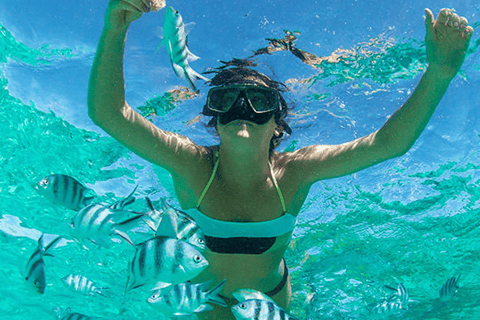 جولة على متن قارب سريع في راشا ياي وجزيرة المرجان في فوكيت + منتجع صحي بعد الشمسجولة في قارب سريع في 