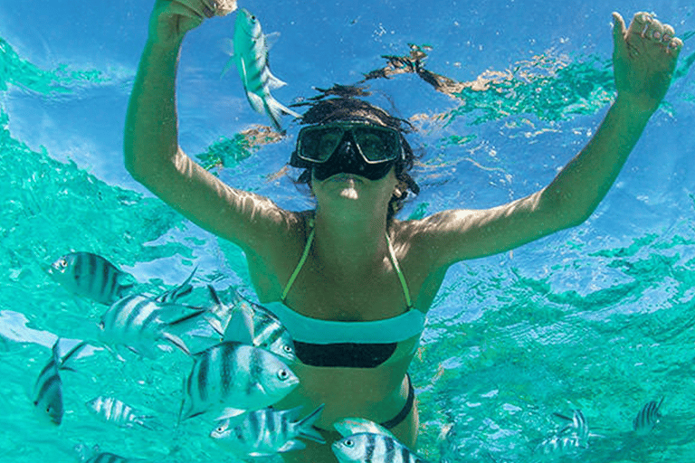 جولة على متن قارب سريع في راشا ياي وجزيرة المرجان في فوكيت + منتجع صحي بعد الشمسجولة في قارب سريع في 