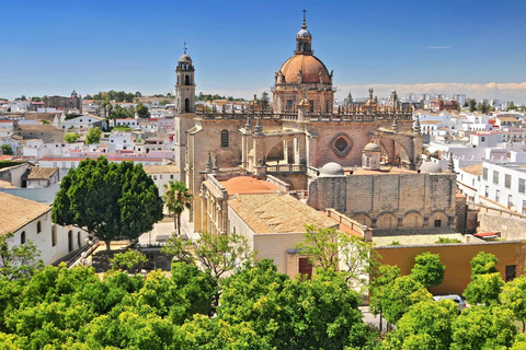 Jerez dalla Costa del Sol: cantine con degustazione di vini e spettacolo equestreJerez from the Costa del Sol: Wineries with Wine Tasting and Equestrian Show