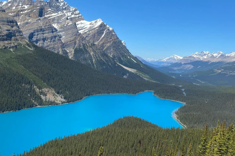 Guided Tour of 7 Lakes in Banff and Yoho National Parks
