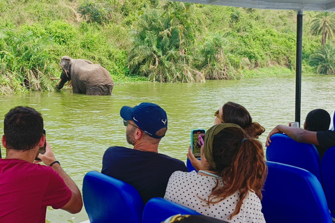 Kampala: 3-Day Queen Elizabeth National Park Safari Tour