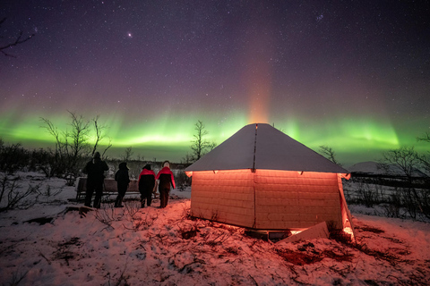 Abisko: Sami Culture, & Reindeer Encounter with Photos