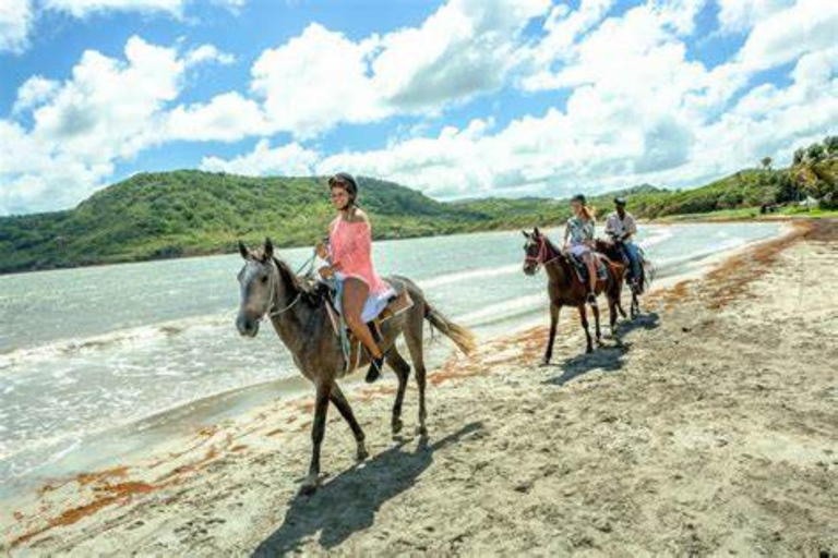 St. Lucia: Island Memories 5-Day Tour