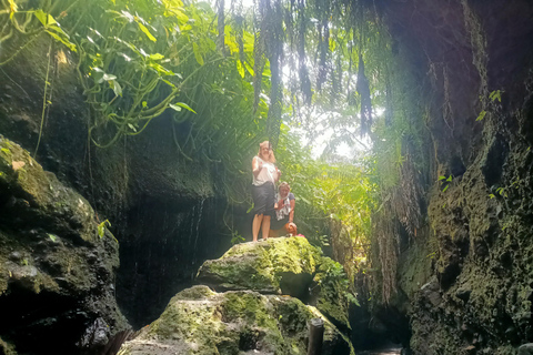 特特巴图：瀑布、香料、梯田、猴子森林特特巴图之旅、香料、瀑布、梯田、猴林