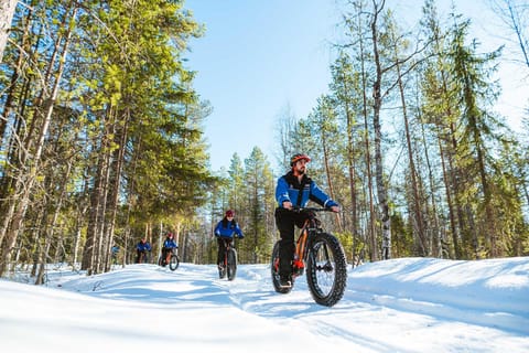 Rovaniemi: Winter eFatbike Tour im verschneiten Wald