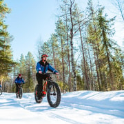Rovaniemi: Recorrido invernal en eFatbike por el bosque nevado