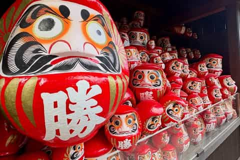 The BEST Ikoma Tours and Excursions in 2026 - FREE Cancellation