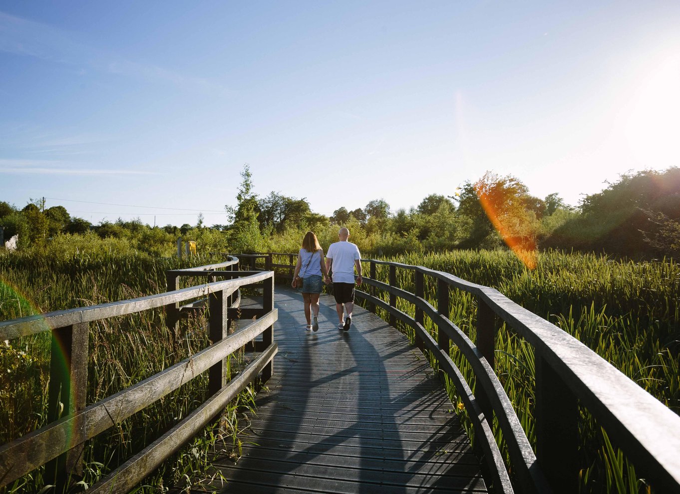 Moate: Adgangsbillet til Dún na Sí Amenity & Heritage Park