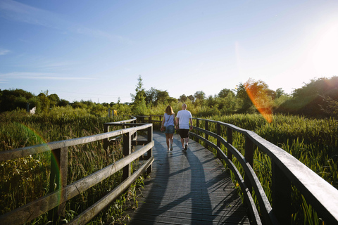 Moate: Dún na Sí Amenity & Heritage Park Admission Ticket