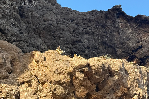 Discover West Salalah: Full-Day Tour by Safari Salalah Tours