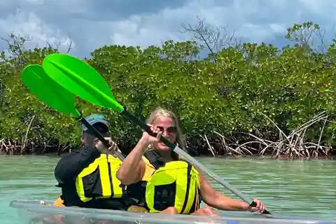 Providenciales: Mangroves and Turtles Clear Kayak Eco Tour