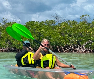 Providenciales: Mangroves and Turtles Clear Kayak Eco Tour