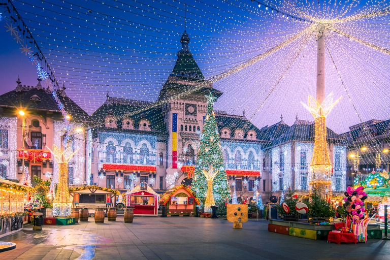 Bukarest: Craiova Julmarknad Dagsutflykt