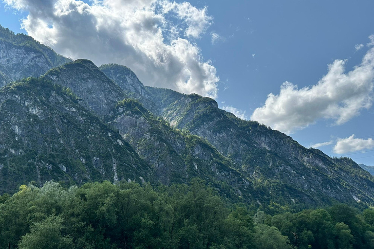 Vienna: Hallstatt, Salzkammergut Day Trip with option boat