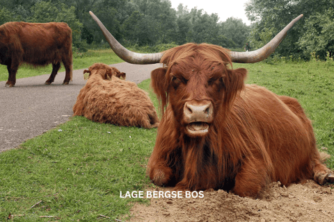 Het Rotterdamse platteland op wielen - fietstocht door de stad