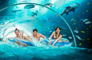 Singapur: Eintrittskarte für den Adventure Cove Waterpark