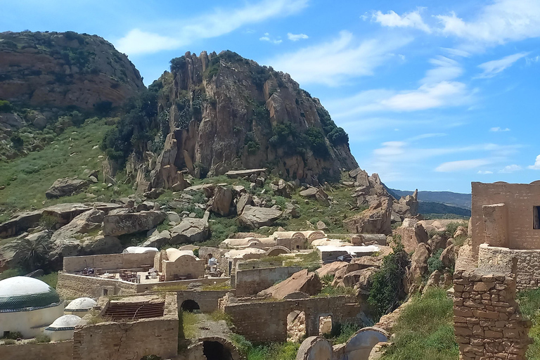 From Tunis: Berber Heritage & Organic Olive Oil Tasting Tour Tunis-Hammamet: Organic Olive Oil Mill Tour & Tasting