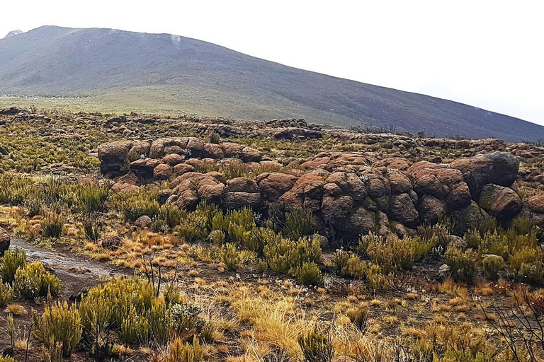 Day Trip to Mount Kilimanjaro with Sheengai Pride Safaris