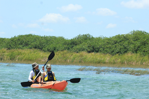 Tulum: Sian Ka'an Biosphere Reserve Kayak Tour