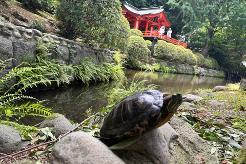 Tokyo: Customizable, Enjoyable and Memorable Private Tour