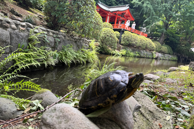 Tokyo: Customizable, Enjoyable and Memorable Private Tour