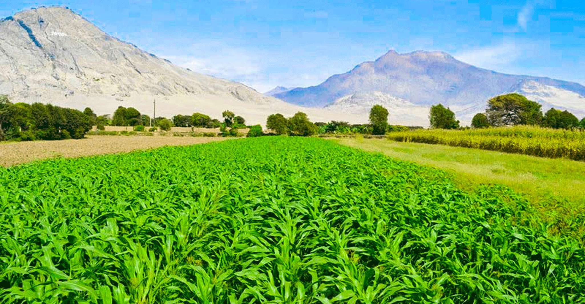 特鲁希略的全日博物馆参观 - Hizvo