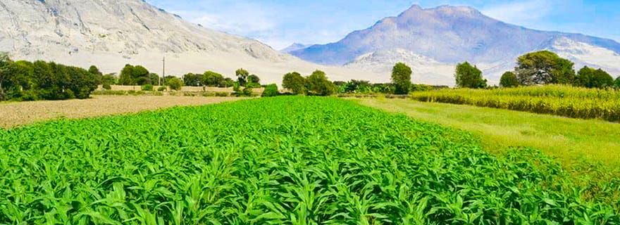 Depuis Trujillo : visite d'une jounée complète avec musées